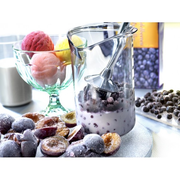 BAMIX SWISSLINE M250, світло-сірий, професійний занурювальний блендер