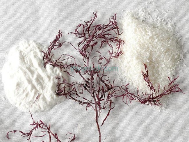 Agar-agar 1200 blum, 50 g. Roko, Spain