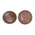 Форма для шоколада поликарбонатная Монета 7,5 г, 1895 CW